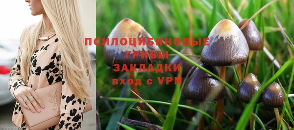 spice Магас