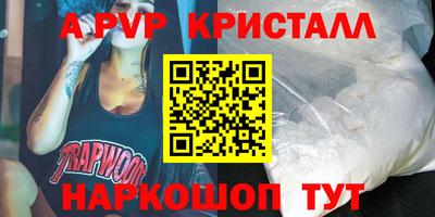 spice Кингисепп