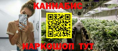 spice Кингисепп