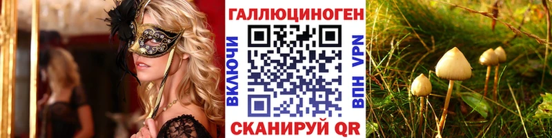 Псилоцибиновые грибы мицелий  купить наркоту  Комсомольск-на-Амуре 