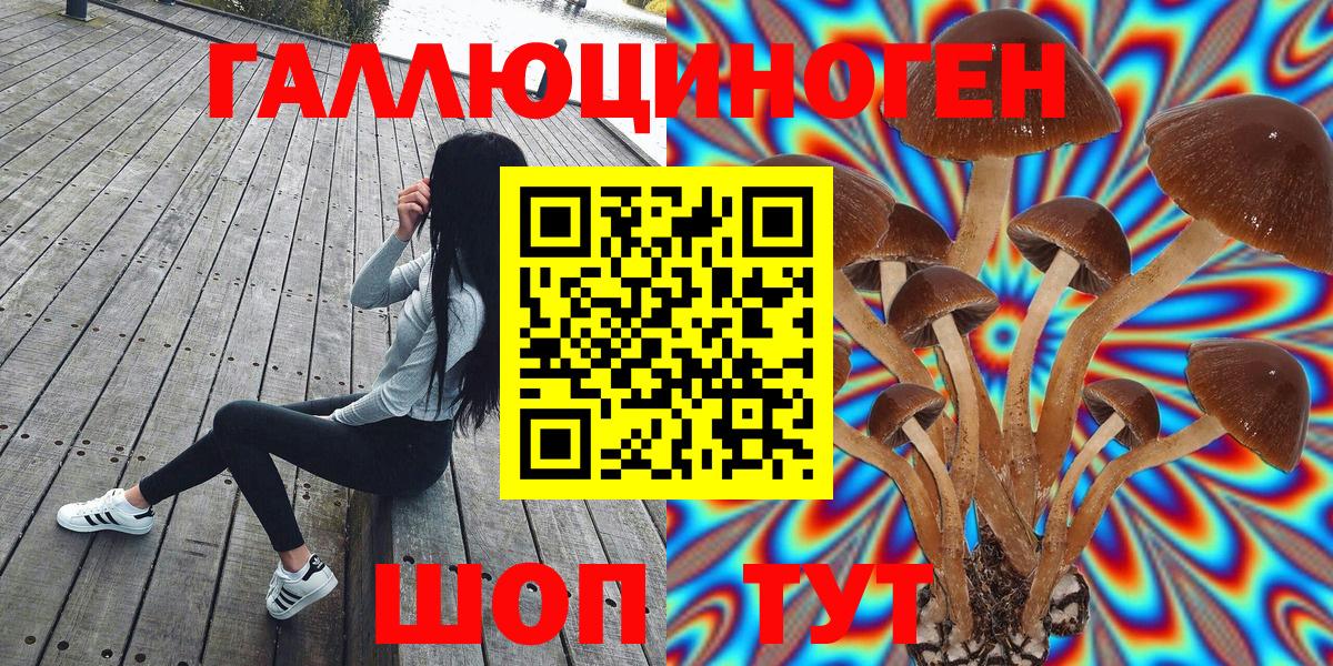 Галлюциногенные грибы Psilocybine cubensis Комсомольск-на-Амуре